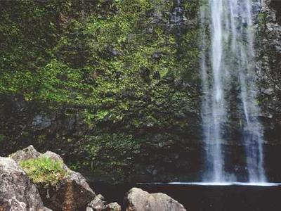 GPT‑5.3‑Codex‑Spark