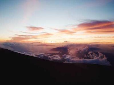 Zendesk Signals by Usercall