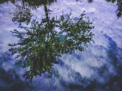 How I Get Free Traffic from ChatGPT in 2025 (AIO vs SEO)