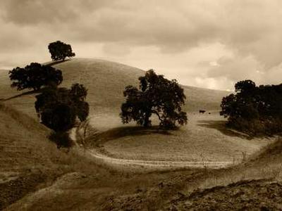 Zendesk Signals by Usercall